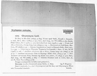 Chrysomyxa ledi image